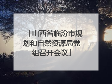 山西省临汾市规划和自然资源局党组召开会议
