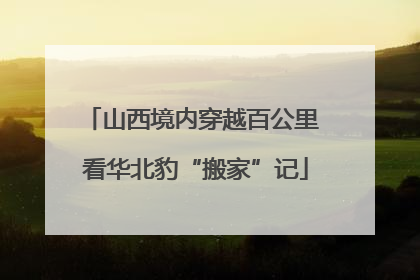 山西境内穿越百公里 看华北豹“搬家”记