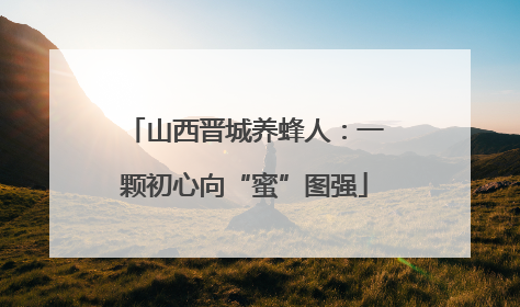 山西晋城养蜂人：一颗初心向“蜜”图强