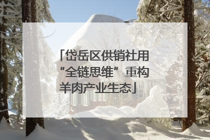 岱岳区供销社用“全链思维”重构羊肉产业生态