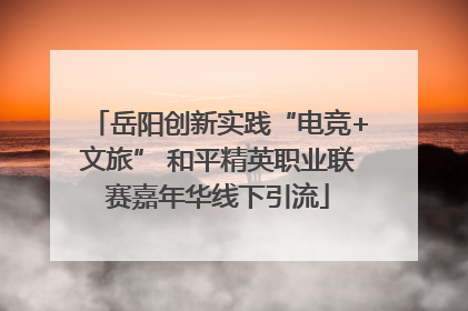 岳阳创新实践“电竞+文旅” 和平精英职业联赛嘉年华线下引流