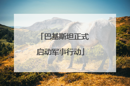 巴基斯坦正式启动军事行动