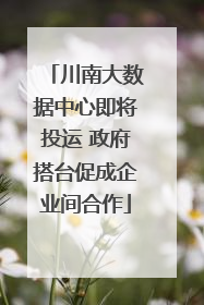 川南大数据中心即将投运 政府搭台促成企业间合作