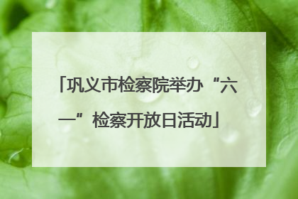 巩义市检察院举办“六一”检察开放日活动