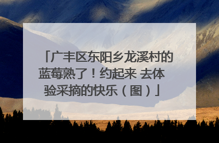 广丰区东阳乡龙溪村的蓝莓熟了！约起来 去体验采摘的快乐（图）