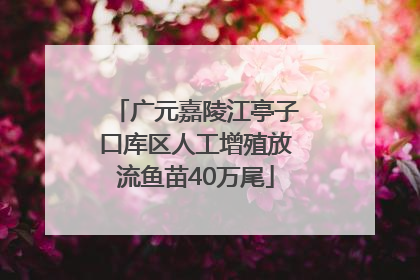 广元嘉陵江亭子口库区人工增殖放流鱼苗40万尾