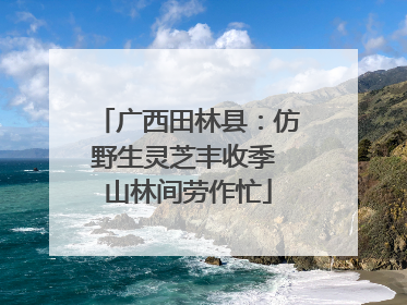 广西田林县：仿野生灵芝丰收季 山林间劳作忙