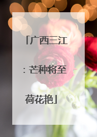 广西三江：芒种将至荷花艳