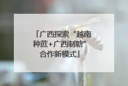 广西探索“越南种蔗+广西制糖”合作新模式