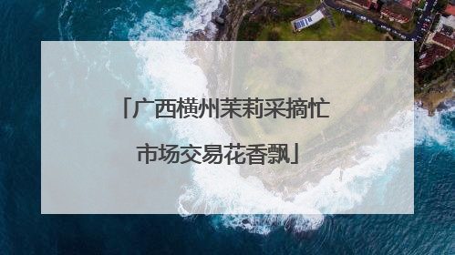 广西横州茉莉采摘忙 市场交易花香飘