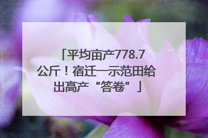 平均亩产778.7公斤！宿迁一示范田给出高产“答卷”
