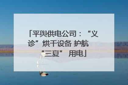 平舆供电公司：“义诊”烘干设备 护航 “三夏” 用电