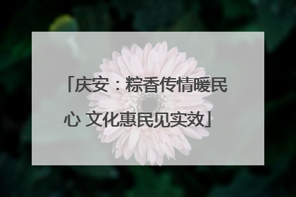 庆安：粽香传情暖民心 文化惠民见实效