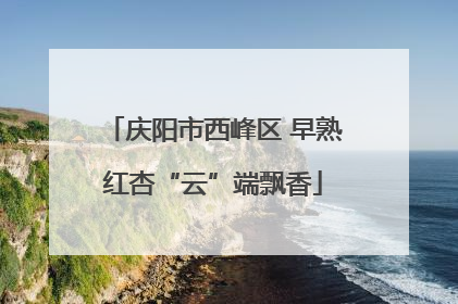 庆阳市西峰区 早熟红杏“云”端飘香