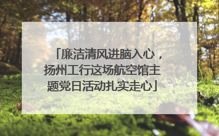 廉洁清风进脑入心，扬州工行这场航空馆主题党日活动扎实走心