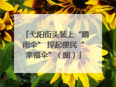 弋阳街头装上“晴雨伞” 撑起便民“幸福伞”（图）