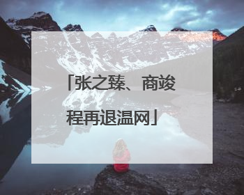 张之臻、商竣程再退温网