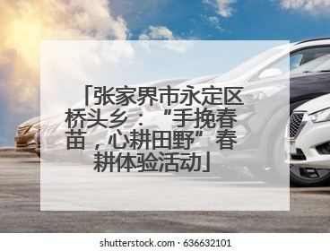 张家界市永定区桥头乡：“手挽春苗，心耕田野”春耕体验活动