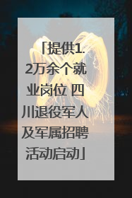 提供1.2万余个就业岗位 四川退役军人及军属招聘活动启动