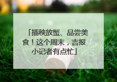 插秧放蟹、品尝美食！这个周末，吉报小记者有点忙