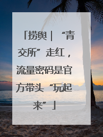 捞舆｜“青交所”走红，流量密码是官方带头“玩起来”