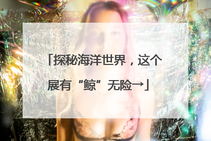 探秘海洋世界，这个展有“鲸”无险→