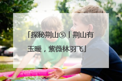 探秘荆山⑤丨荆山有玉暖，紫薇林羽飞