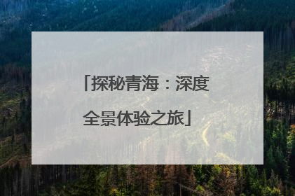 探秘青海：深度全景体验之旅
