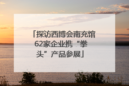 探访西博会南充馆 62家企业携“拳头”产品参展