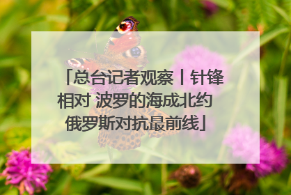 总台记者观察丨针锋相对 波罗的海成北约俄罗斯对抗最前线