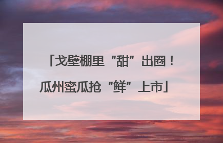 戈壁棚里“甜”出圈！瓜州蜜瓜抢“鲜”上市