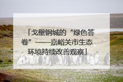 戈壁钢城的“绿色答卷”——嘉峪关市生态环境持续改善观察