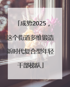 成势2025，这个街道多维锻造新时代复合型年轻干部梯队