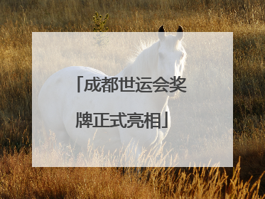 成都世运会奖牌正式亮相