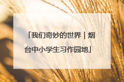 我们奇妙的世界｜烟台中小学生习作园地