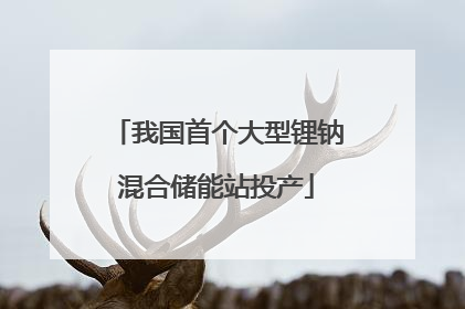 我国首个大型锂钠混合储能站投产