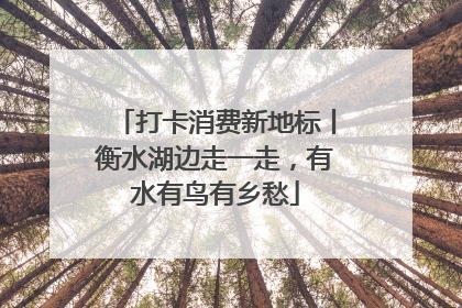 打卡消费新地标丨衡水湖边走一走，有水有鸟有乡愁