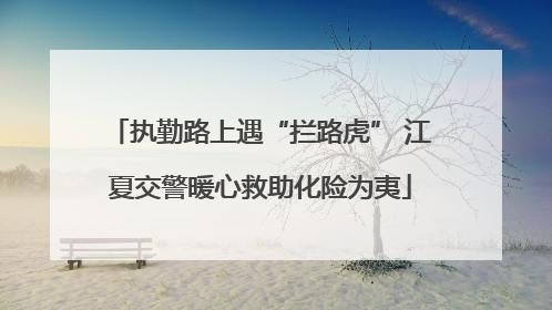 执勤路上遇“拦路虎” 江夏交警暖心救助化险为夷