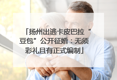 扬州出逃卡皮巴拉“豆包”公开征婚：无须彩礼且有正式编制