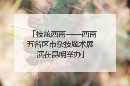 技炫西南——西南五省区市杂技魔术展演在昆明举办