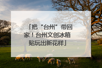 把“台州”带回家！台州文创冰箱贴玩出新花样