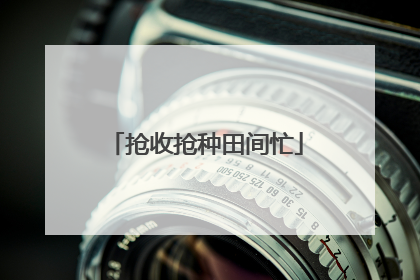 抢收抢种田间忙