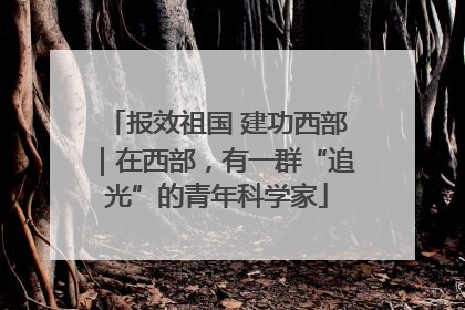 报效祖国 建功西部｜在西部，有一群“追光”的青年科学家