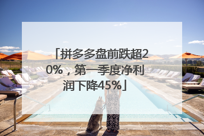 拼多多盘前跌超20%，第一季度净利润下降45%