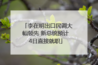 李在明出口民调大幅领先 新总统预计4日直接就职