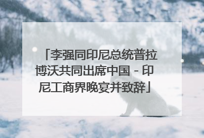 李强同印尼总统普拉博沃共同出席中国－印尼工商界晚宴并致辞