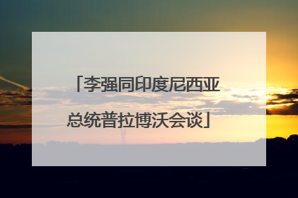 李强同印度尼西亚总统普拉博沃会谈