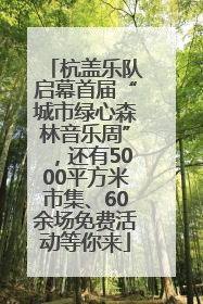 杭盖乐队启幕首届“城市绿心森林音乐周”，还有5000平方米市集、60余场免费活动等你来