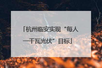 杭州临安实现“每人一千瓦光伏”目标