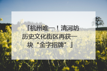 杭州唯一！清河坊历史文化街区再获一块“金字招牌”
